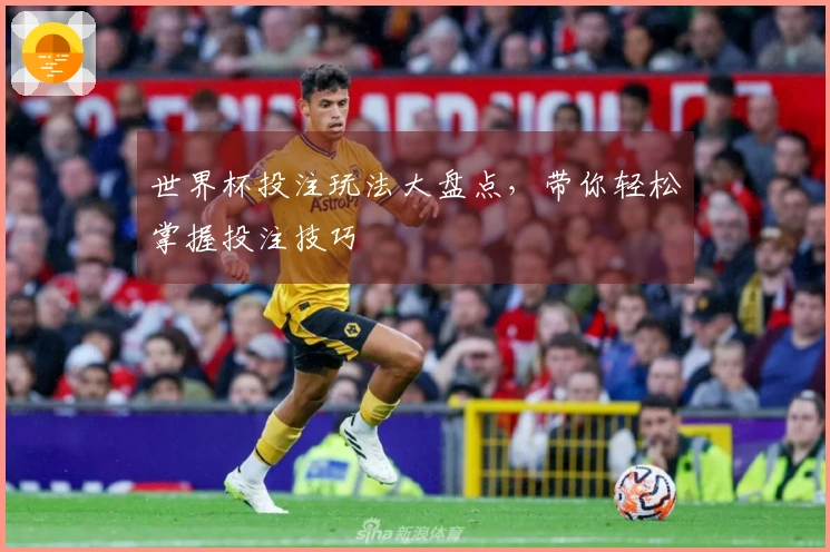 世界杯投注玩法大盘点，带你轻松掌握投注技巧