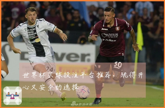 世界杯买球投注平台推荐，玩得开心又安全的选择