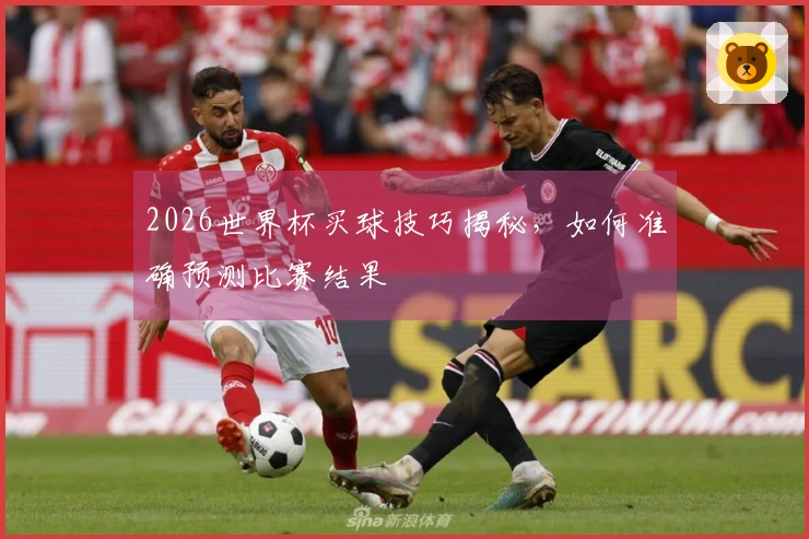 2026世界杯买球技巧揭秘，如何准确预测比赛结果