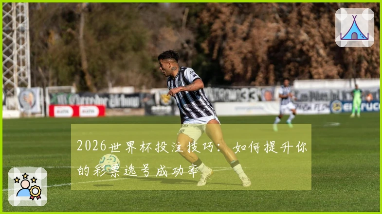 2026世界杯投注技巧：如何提升你的彩票选号成功率