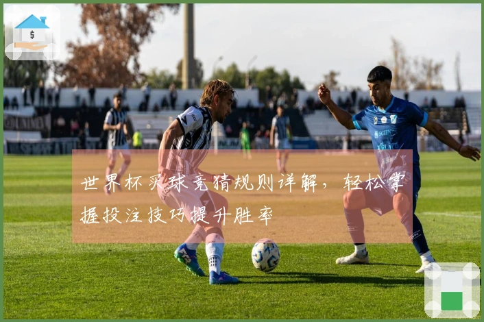 世界杯买球竞猜规则详解，轻松掌握投注技巧提升胜率