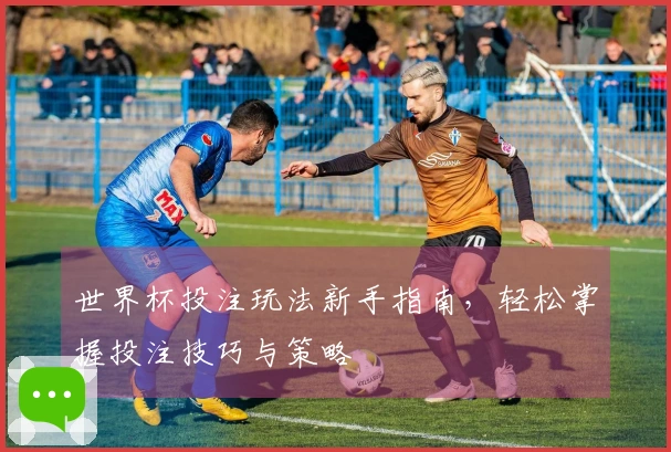 世界杯投注玩法新手指南，轻松掌握投注技巧与策略